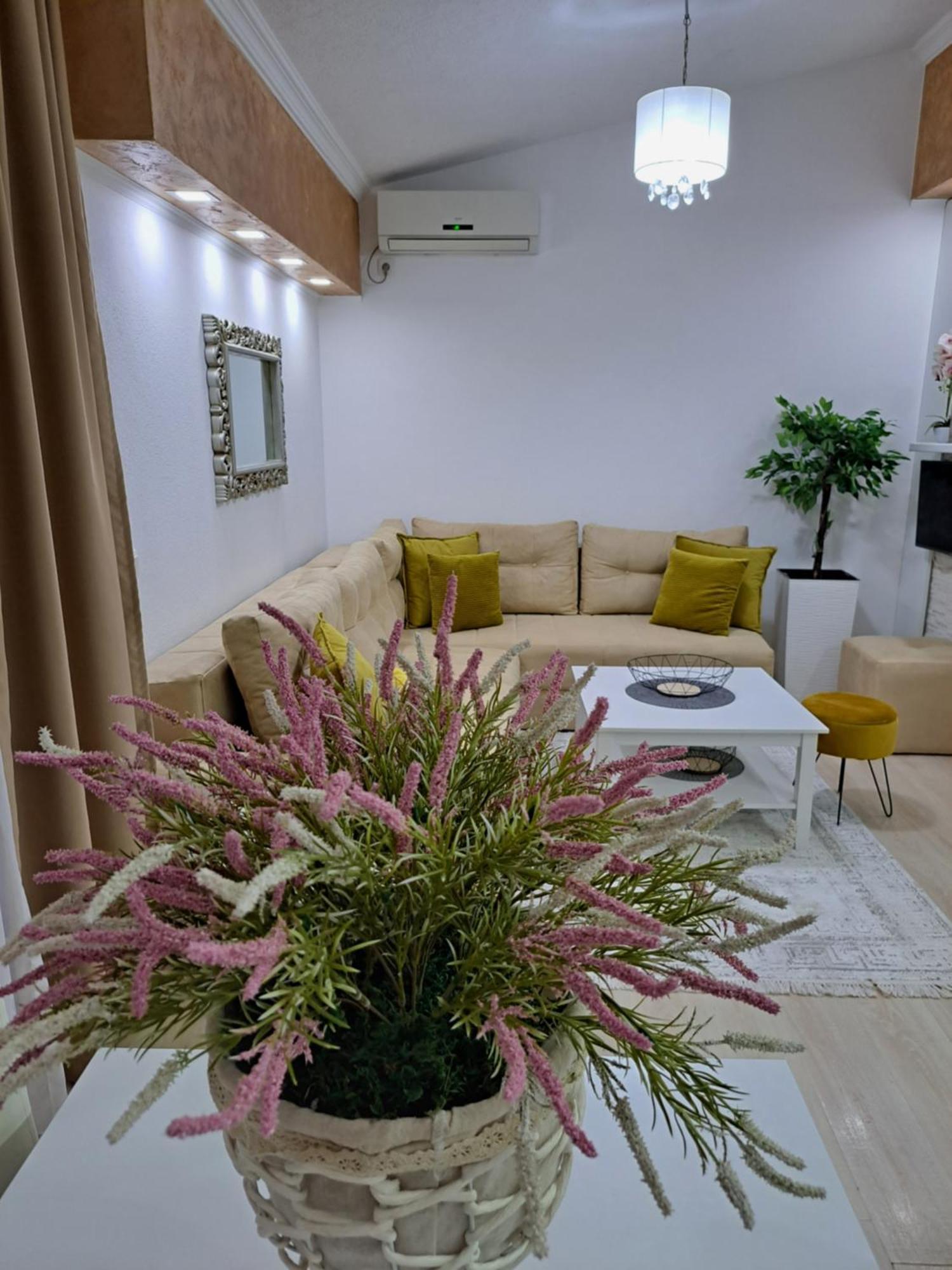 Apartments Pepdjonovic 乌尔齐尼 外观 照片